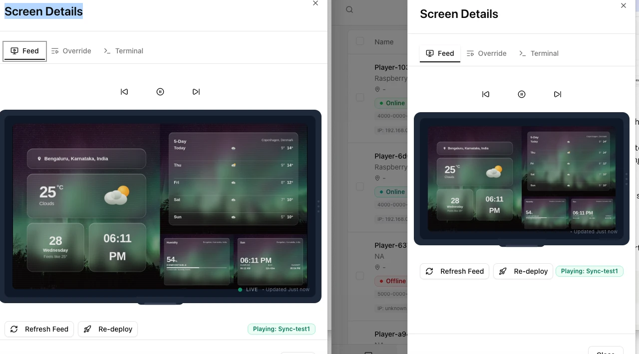 Screen Details feeds of two players in the group, open side by side: both show the same item at the same moment